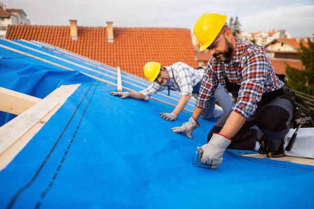 Best Roof Ventilation Installation  in Ruleville, MS