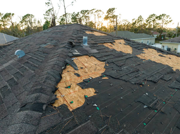 Best Skylight Installation and Repair  in Ruleville, MS