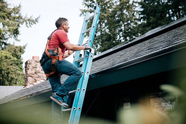Best Roof Moss and Algae Removal  in Ruleville, MS